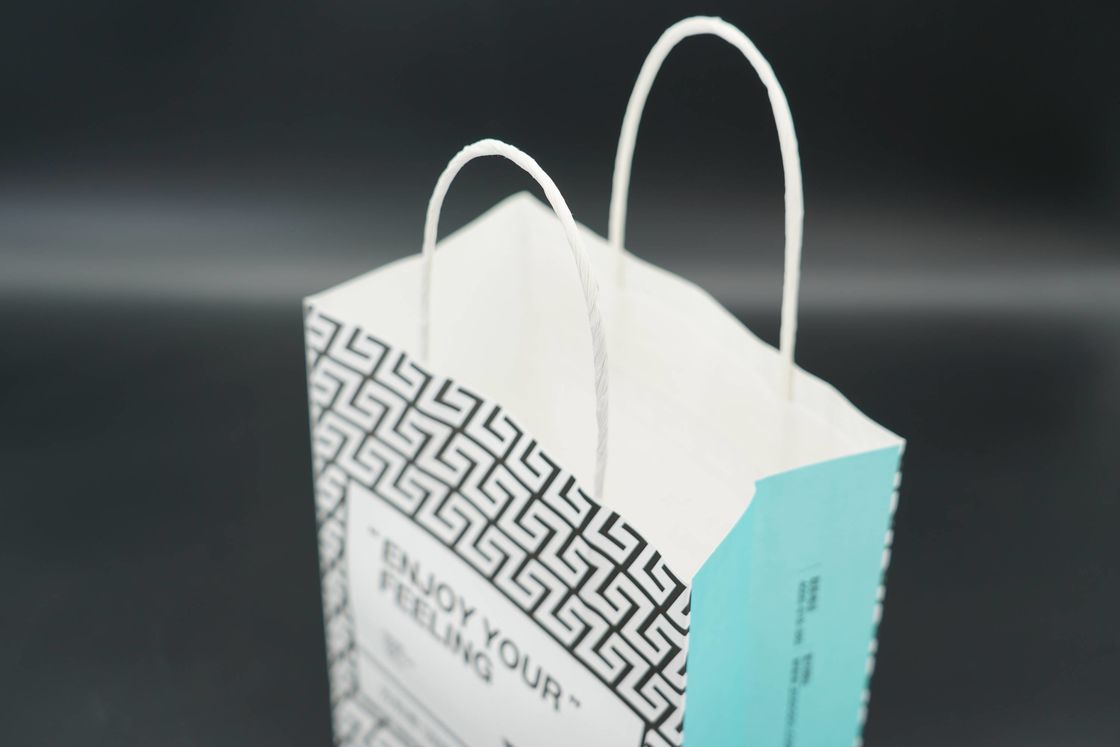 Twisted Handle Paper Bags Custom Recyclable Kraft Paper Gift Bags