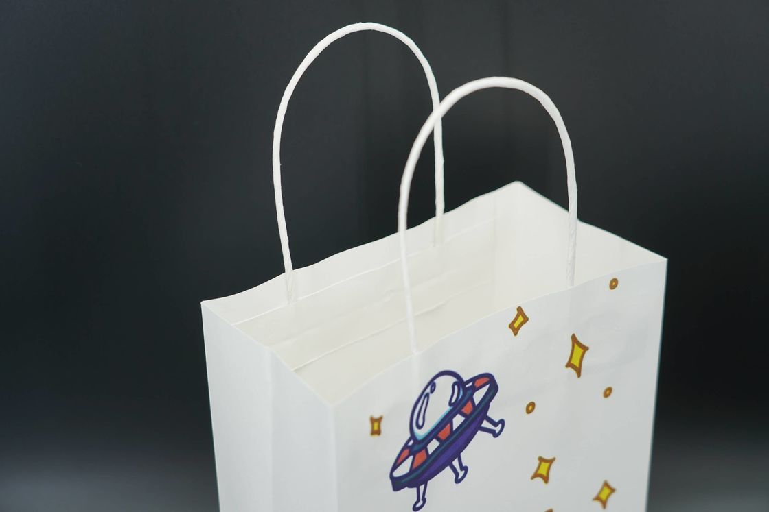Shopping Custom Printed Paper Bags For Packaging Recycled use