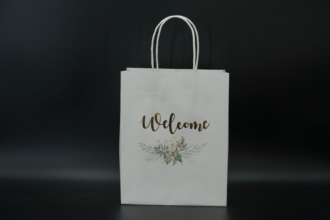 ODM Handle Paper Bags Sustainable Custom Kraft Shopping Bags Lightweight