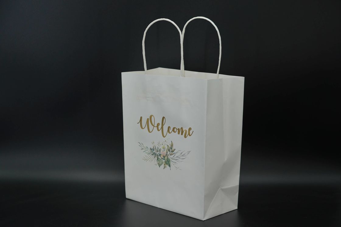 ODM Handle Paper Bags Sustainable Custom Kraft Shopping Bags Lightweight