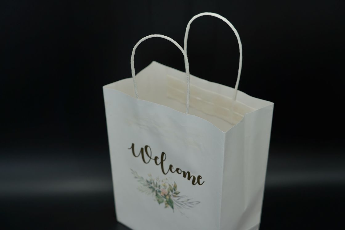 ODM Handle Paper Bags Sustainable Custom Kraft Shopping Bags Lightweight