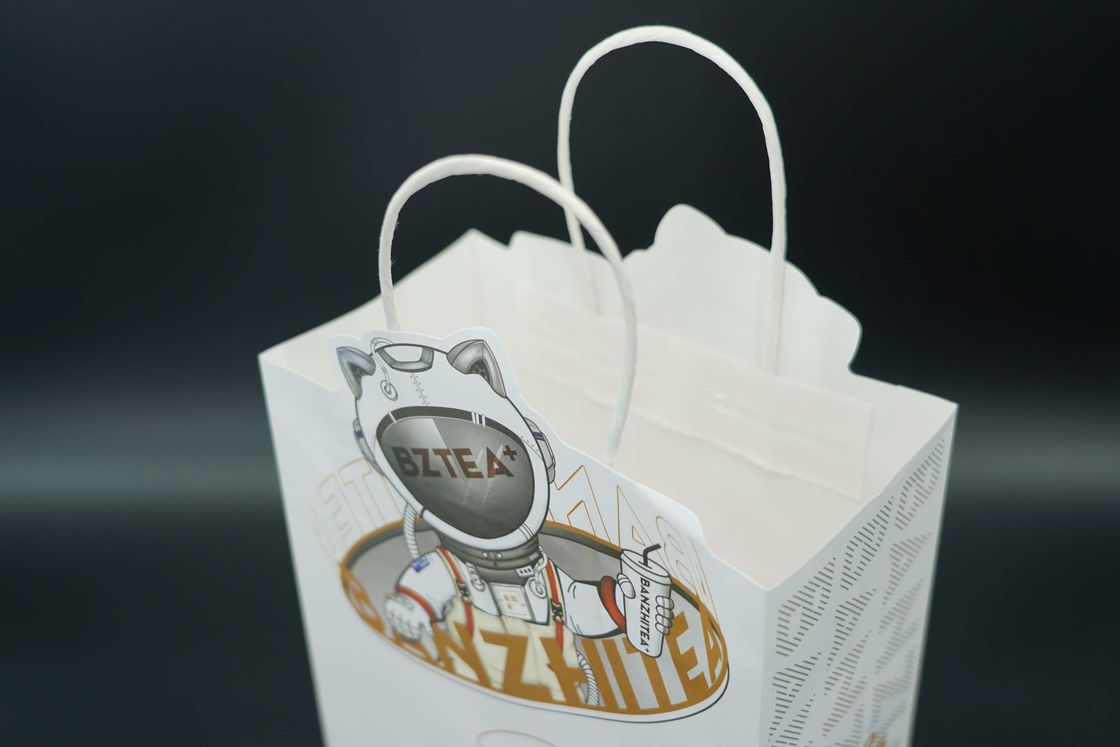 Custom Recycled Paper Printed Shopping Bag Packaging Gift Shopping Paper Bags